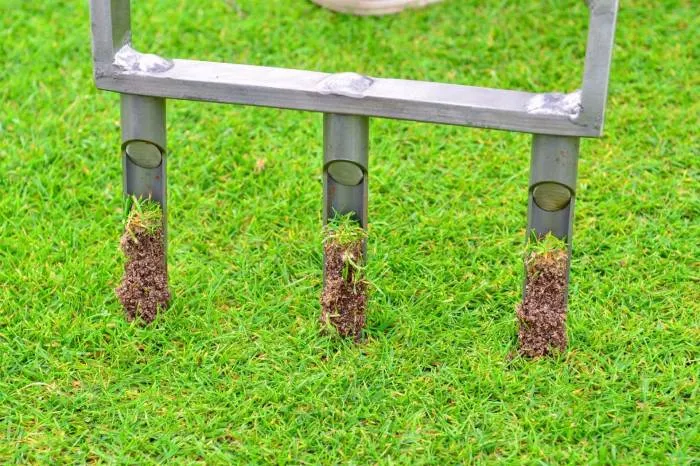 Hollow tine machines for sale best sale