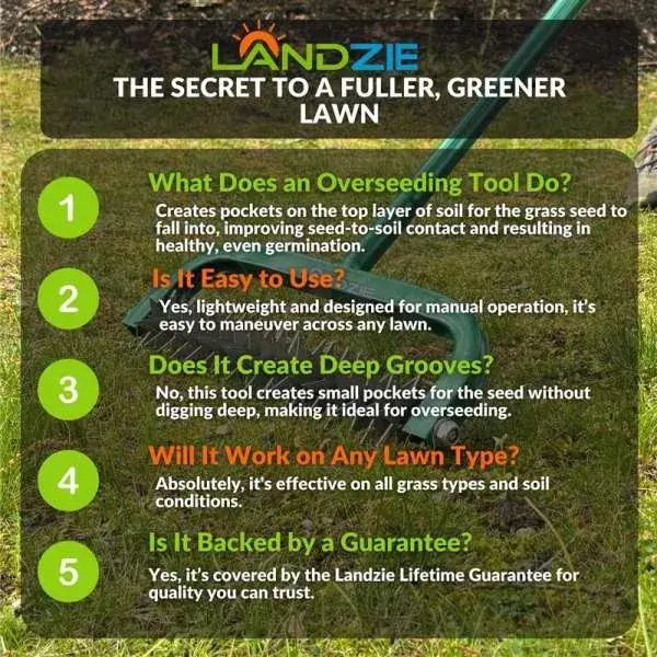 Landzie Overseeder Tool